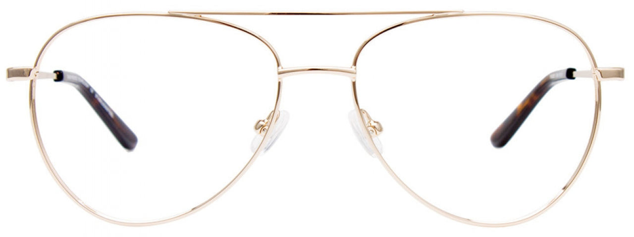 10 - Shiny Light Gold/Shiny Light Gold & Tortoise