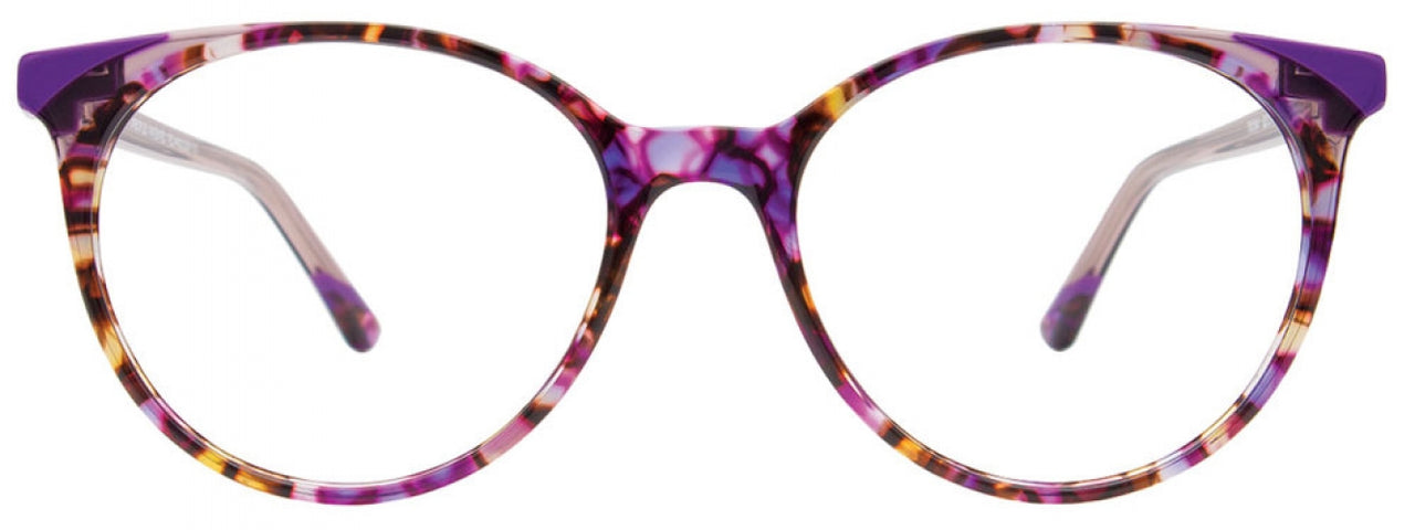 80 - Purple Tortoise & Purple