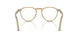 1169 - Brown