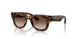 152/13 - Tortoise - Light Brown Gradient Dark Brow