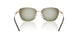 342713 - Brown - Green Gradient Green