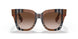 396713 - Brown - Brown Gradient