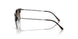 152/13 - Tortoise - Brown