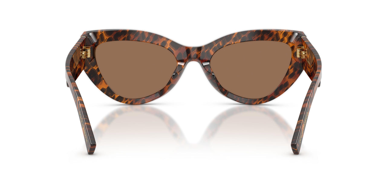 347073 - Brown - Dark Brown