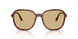 26E10R - Brown - Yellow