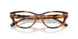 6089 - Tortoise