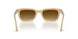 116985 - Brown - Light Brown Gradient Dark Brow