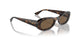 W65673 - Brown - Dark Brown