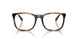 6208 - Tortoise
