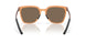 948004 - Brown - Prizm Rose Gold Polarized