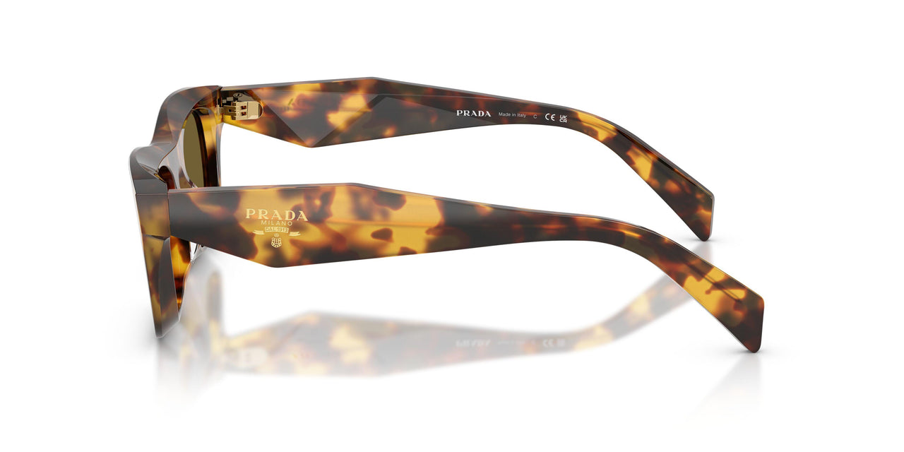 14L09Z - Tortoise - Dark Brown