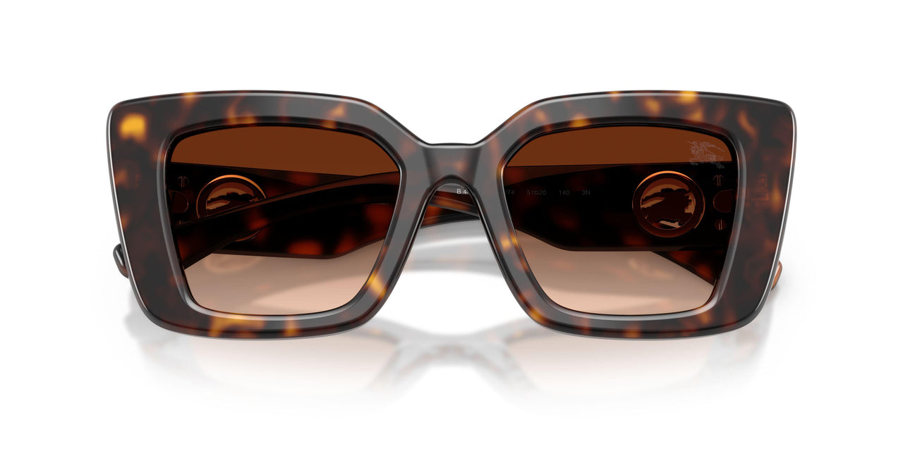 300274 - Brown - Brown Gradient