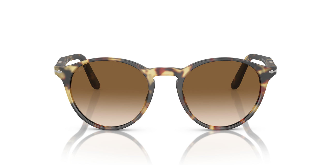 900551 - Tortoise - Brown Gradient