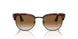 112751 - Havana - Clear Gradient Brown