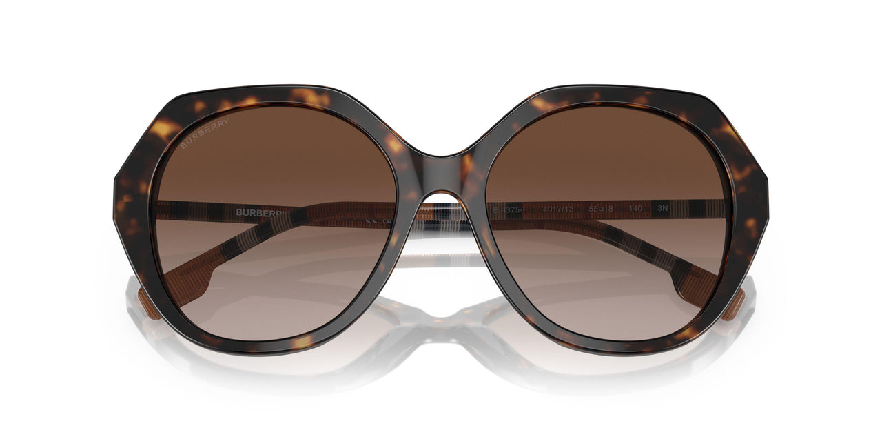 401713 - Havana - Brown Gradient