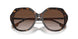 401713 - Havana - Brown Gradient