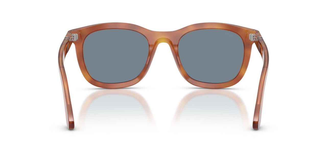 96/56 - Brown - Light Blue