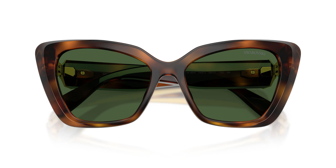 100271 - Tortoise - Dark Green