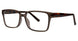 GRTRTS - Grey/Tortoise