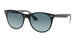 12943M - Black On Trasparent - Blue Gradient Grey