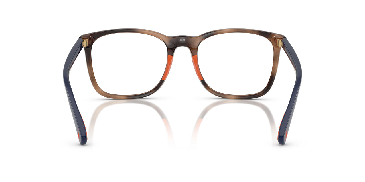 6070 - Tortoise