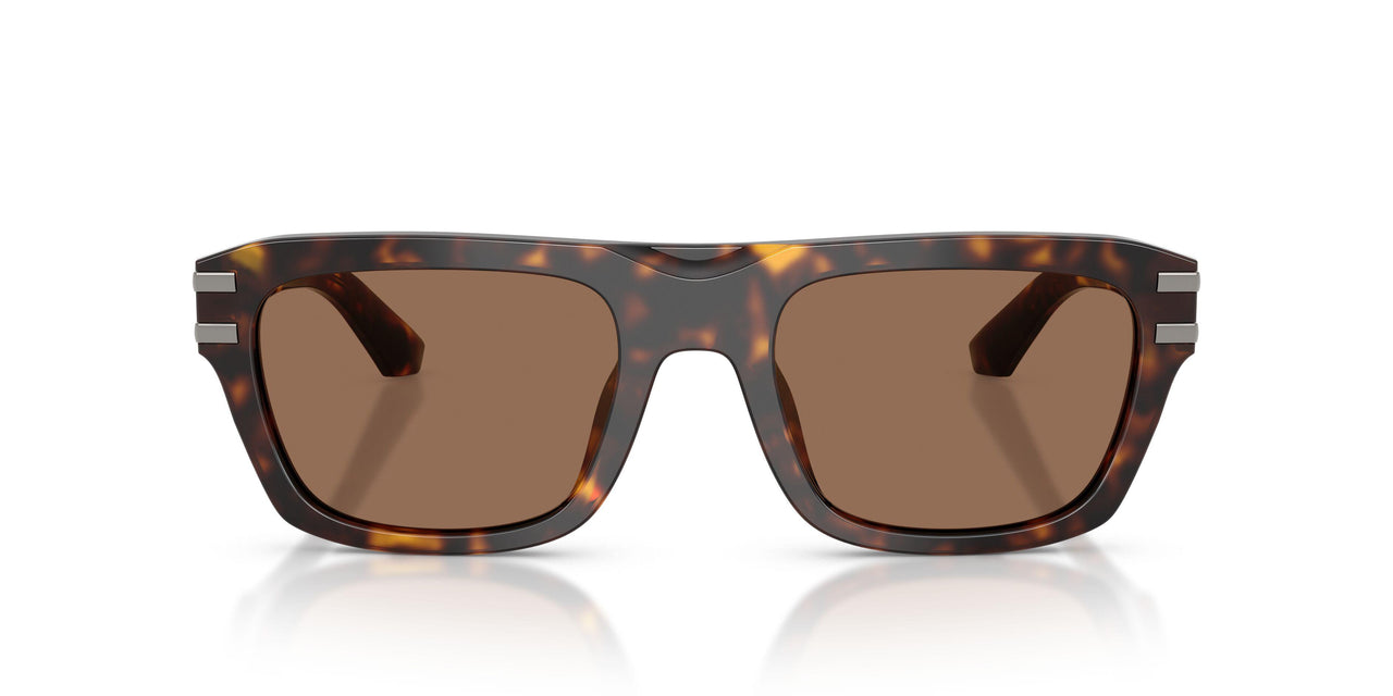 502/73 - Tortoise - Dark Brown