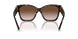 80153B - Tortoise - Brown Gradient