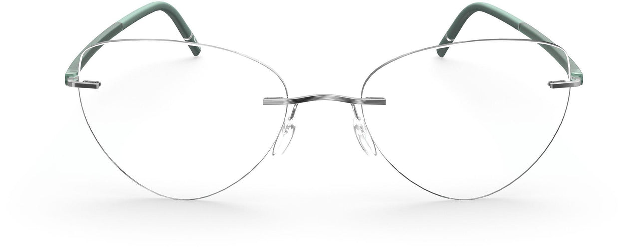 7110 - silver