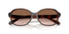 512013 - Tortoise - Brown Gradient