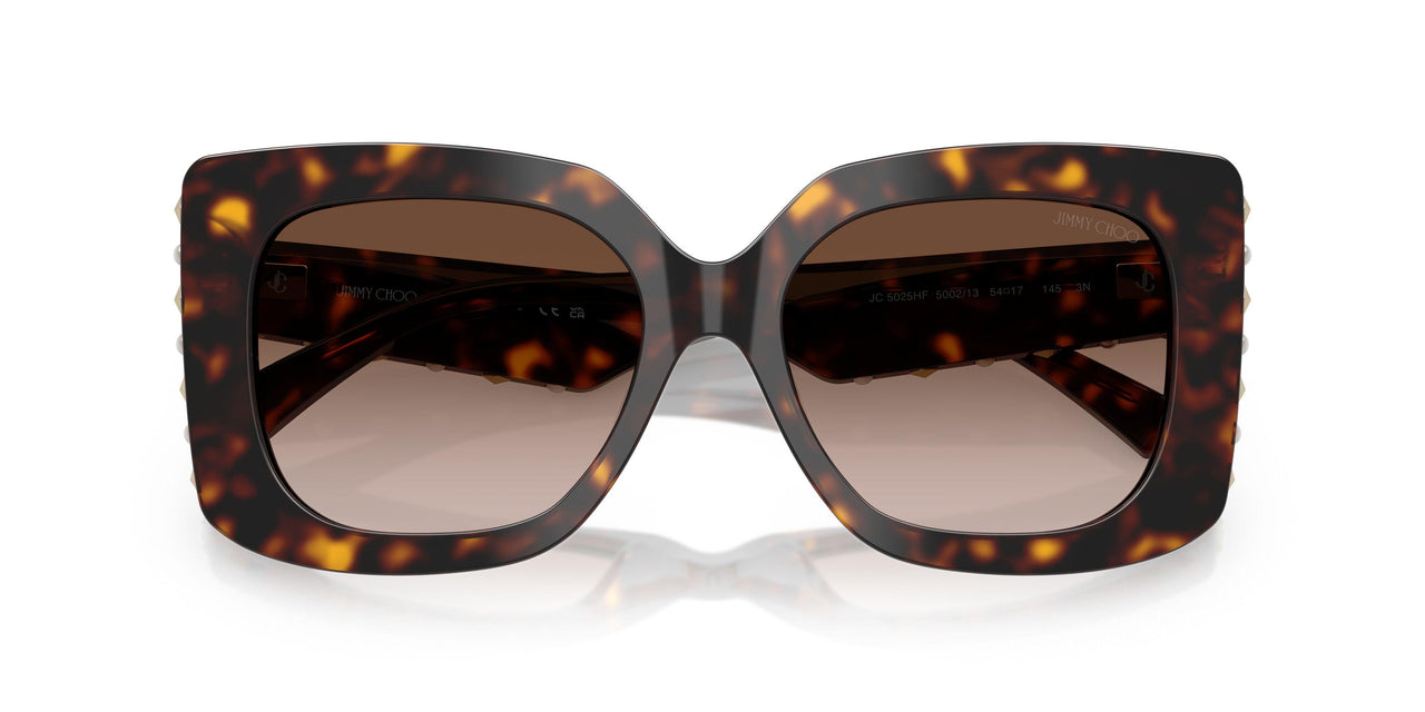 500213 - Tortoise - Gradient Brown