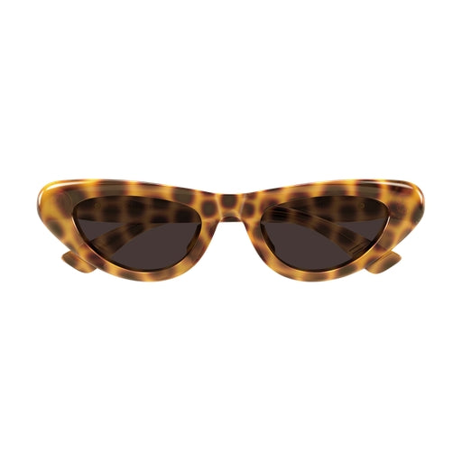 002 - Havana - Brown