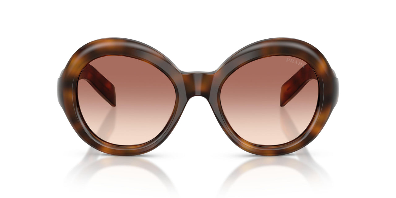 20D70X - Tortoise - Light Brown Gradient Bordeaux