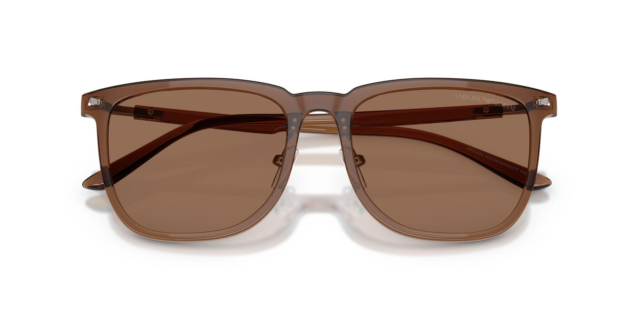 628273 - Brown - Dark Brown