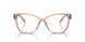 5561 - Brown