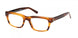 ABERCROMBIE & FITCH 50070 Eyeglasses