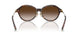 80153B - Tortoise - Brown Gradient