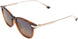 10 - Shiny Dark Havana With Gold - Hcl Bronze