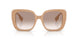 399013 - Brown - Brown Gradient