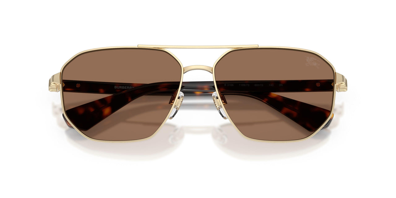 110973 - Gold - Dark Brown