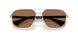 110973 - Gold - Dark Brown