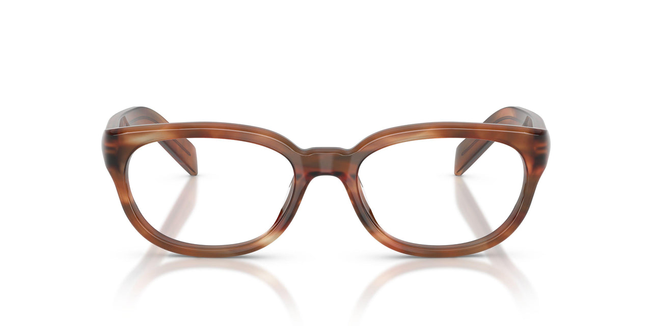 24G1O1 - Brown