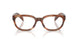 24G1O1 - Brown