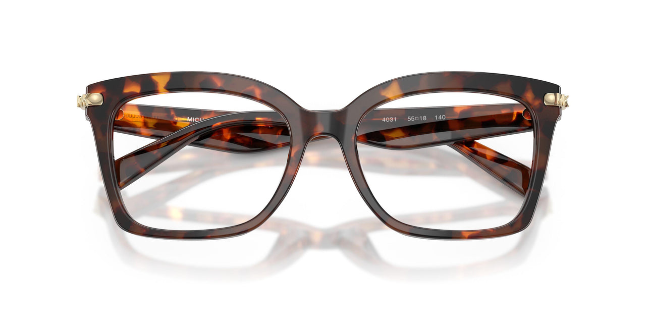 4031 - Tortoise
