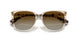6072T5 - Brown - Polar Gradient Brown