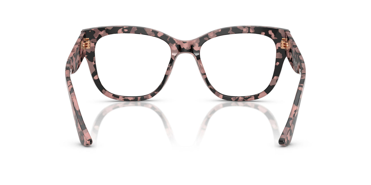 3150 - Tortoise