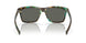 200506 - 204 Shiny Ocean Tortoise - Gray 580g
