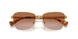 946513 - Gold - Gradient Brown