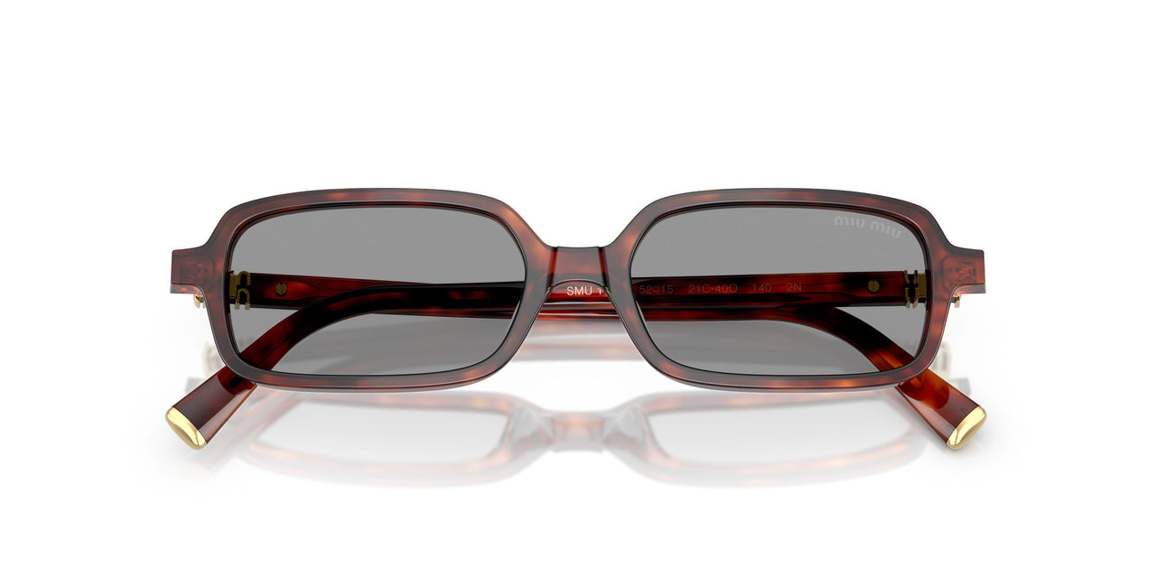 21C40O - Tortoise - Grey
