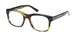 ABERCROMBIE & FITCH 50071 Eyeglasses