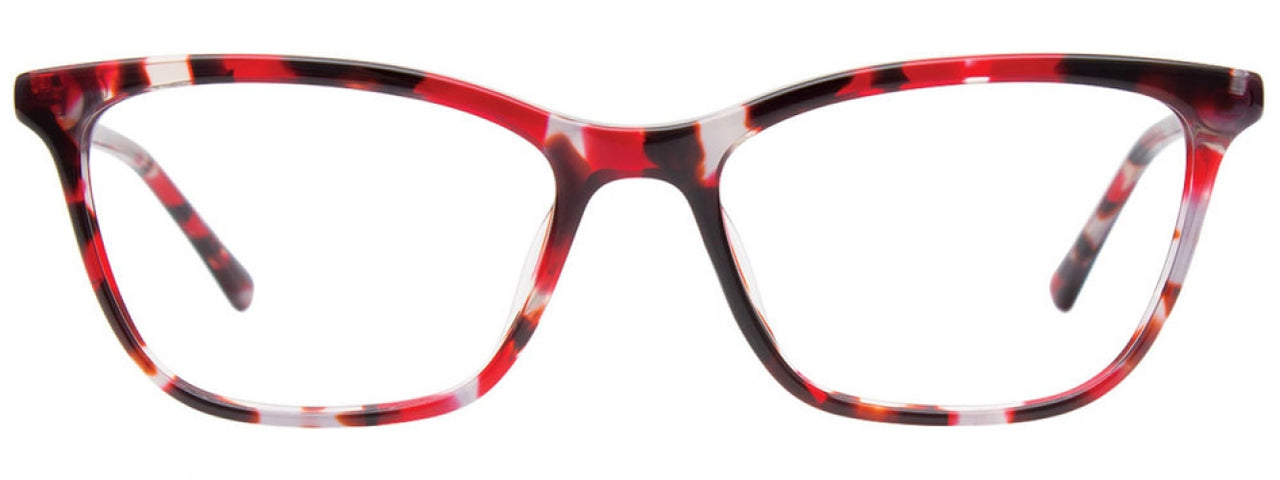 030 - Transparent Red Tortoise